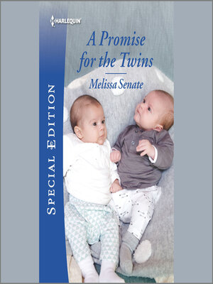 cover image of A Promise for the Twins